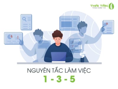 Tìm hiểu nguyên tắc làm việc 1-3-5 tại Thái Tân