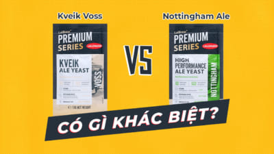 Kviek Voss và Nottingham Ale có gì khác biệt?