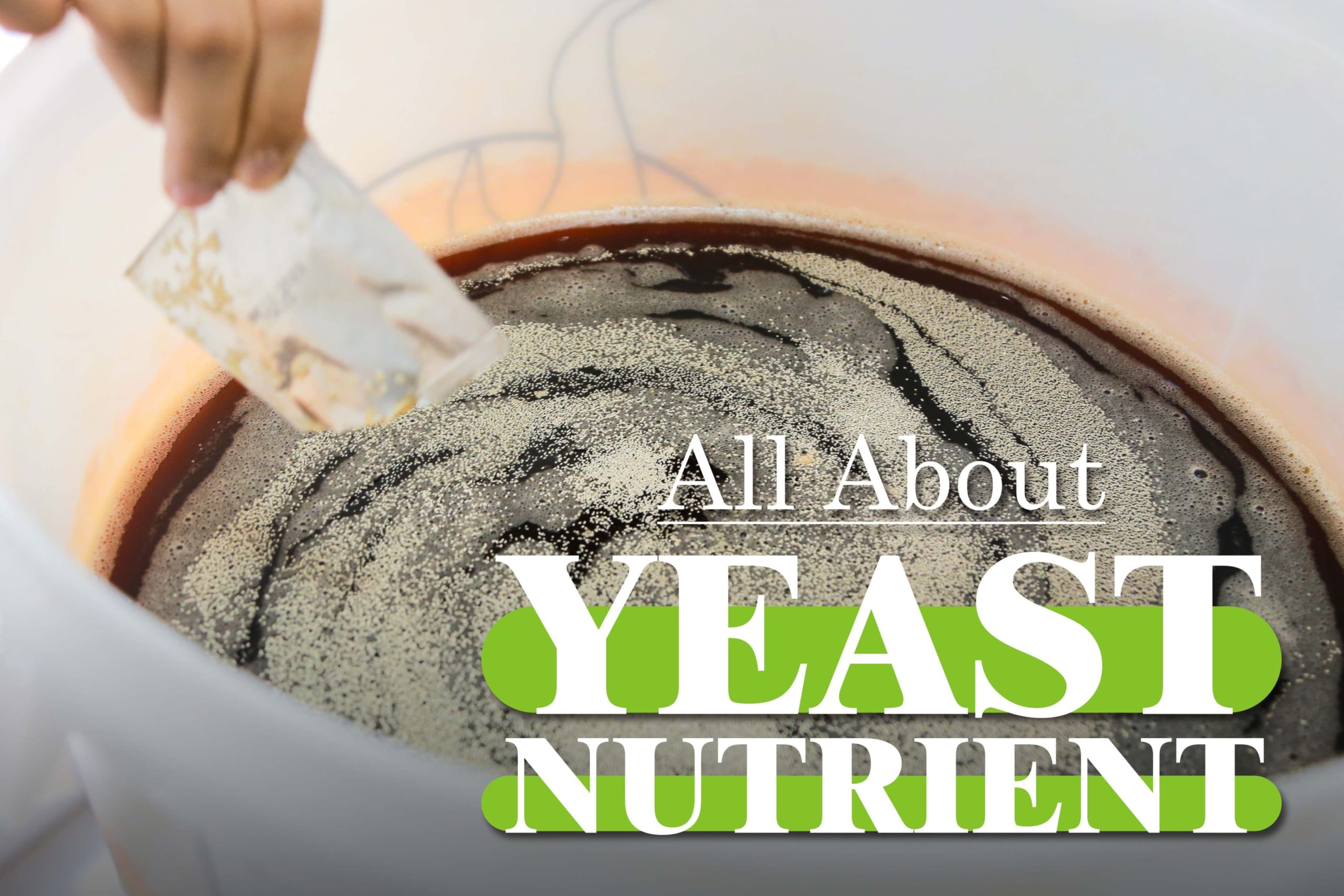 All about Yeast Nutrient, the wonder yeast for fermentation