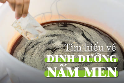 Tìm hiểu về Dinh dưỡng nấm men