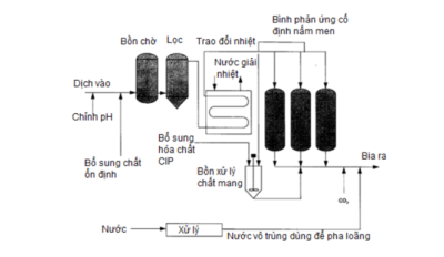 PHẦN 5: Hệ thống lên men liên tục – Bình phản ứng cố định nấm men