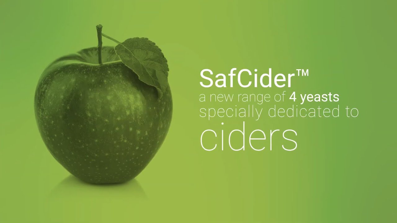 Yeast SafCider for unique cider
